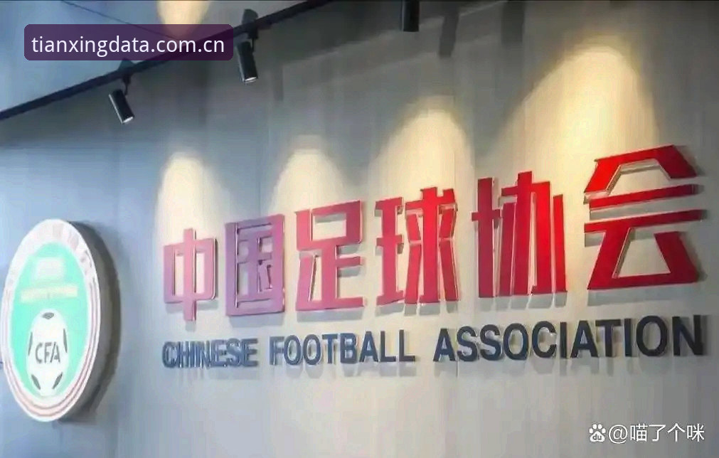 足坛反腐风暴背后：从第三批禁足名单看中国足球的“深水区”